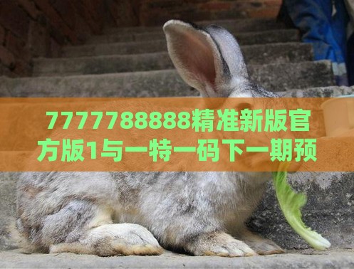 7777788888精准新版官方版1与一特一码下一期预测:兔、龙、狗、虎-细致解答、解释与落实,抵制不实广告