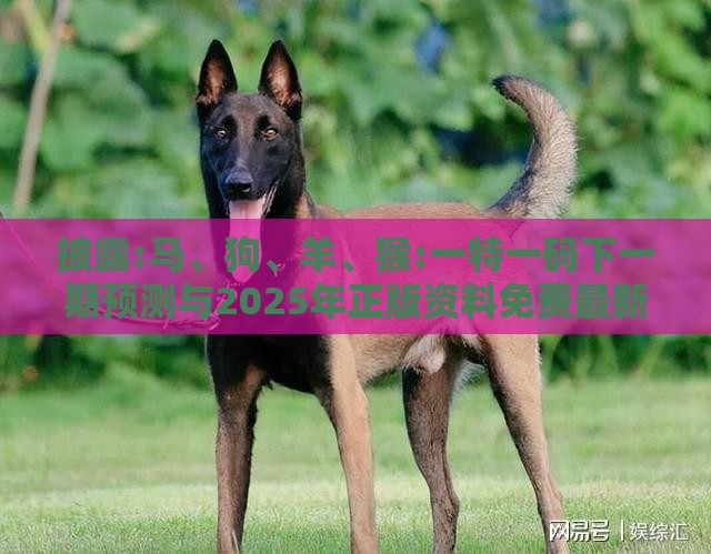 披露:马、狗、羊、猴:一特一码下一期预测与2025年正版资料免费最新版本大全图片,风控剖析、专家解析解释与落实-防范欺诈的假推销词