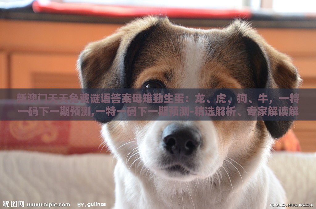 新澳门天天免费谜语答案母雉勤生蛋:龙、虎、狗、牛,一特一码下一期预测,一特一码下一期预测-精选解析、专家解读解释与落实,杜绝虚假诱导链